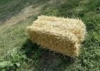 Продажа соломы с доставкой по России фотография